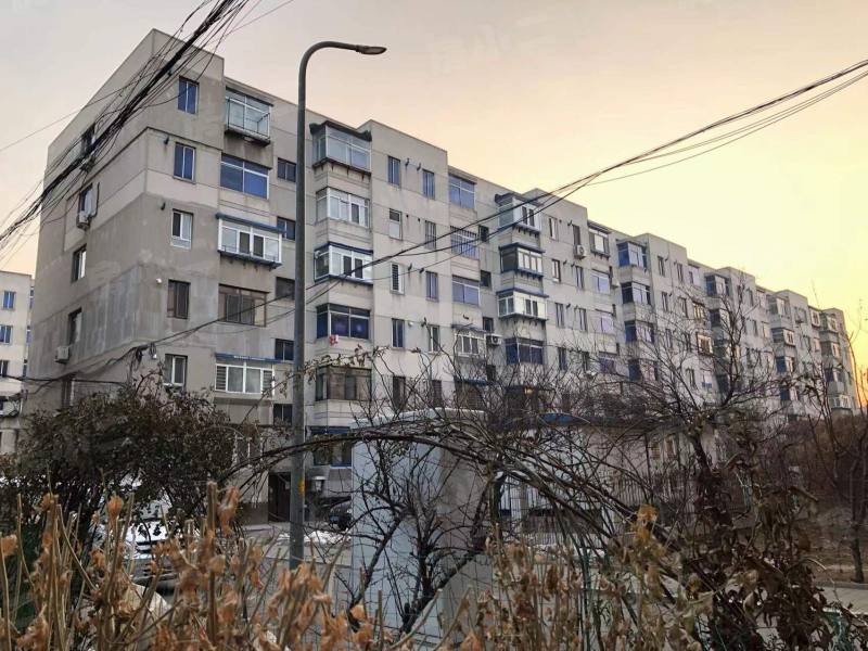 金山三小区园区图片