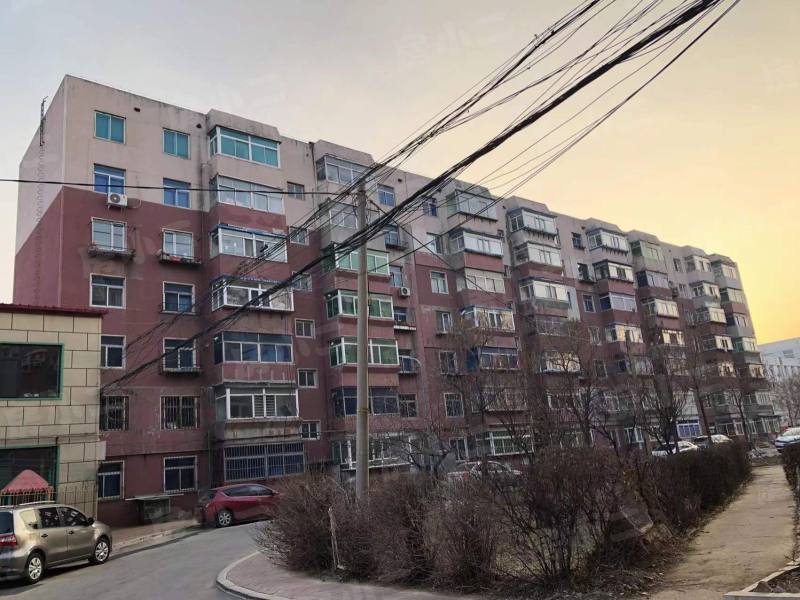 金山三小区园区图片