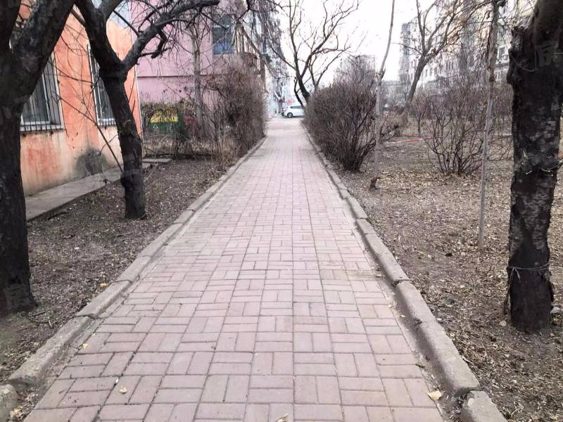 葵松东社区园区图片