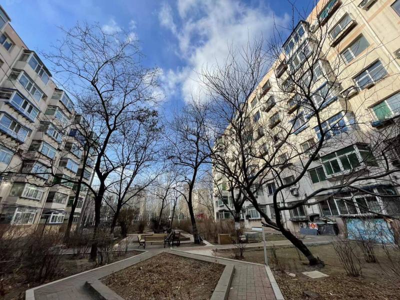 上园二小区园区图片