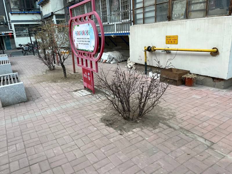 朝阳社区园区图片