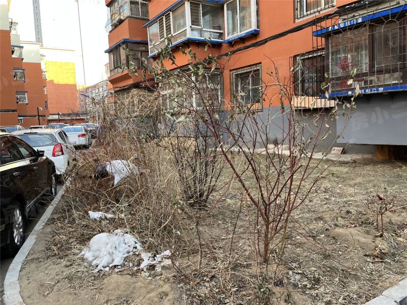 涌泉铁路小区园区图片