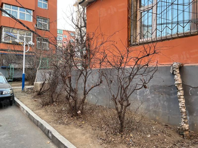 涌泉铁路小区园区图片