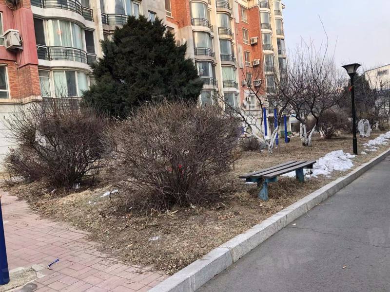 阳光2000家园园区图片