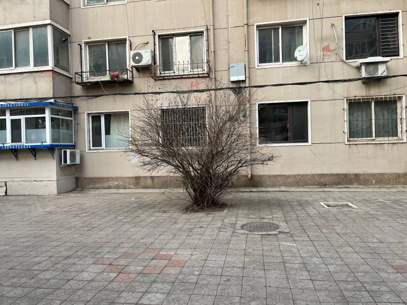 洪湖小区园区图片