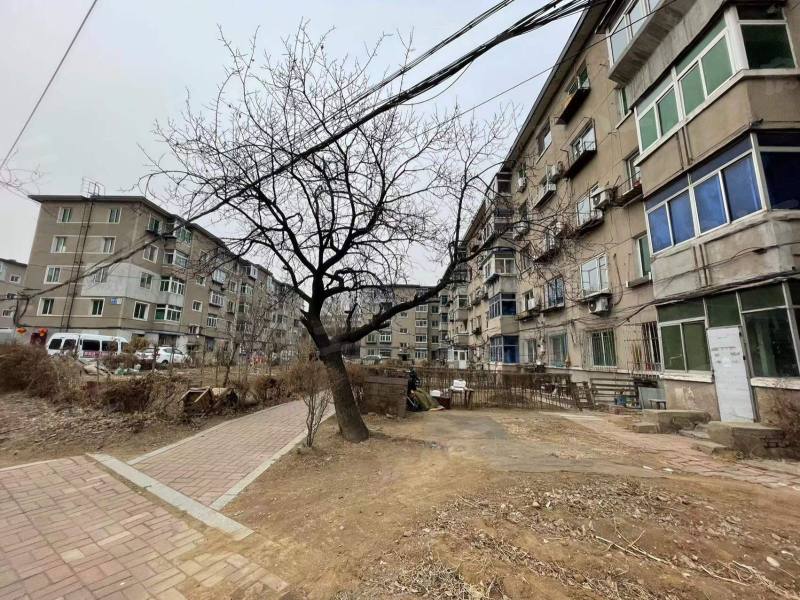 自强小区园区图片