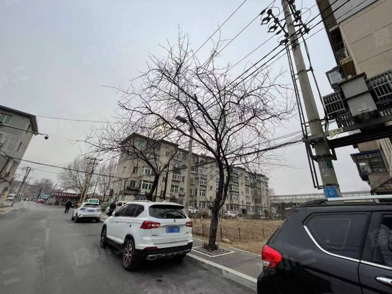 自强小区园区图片