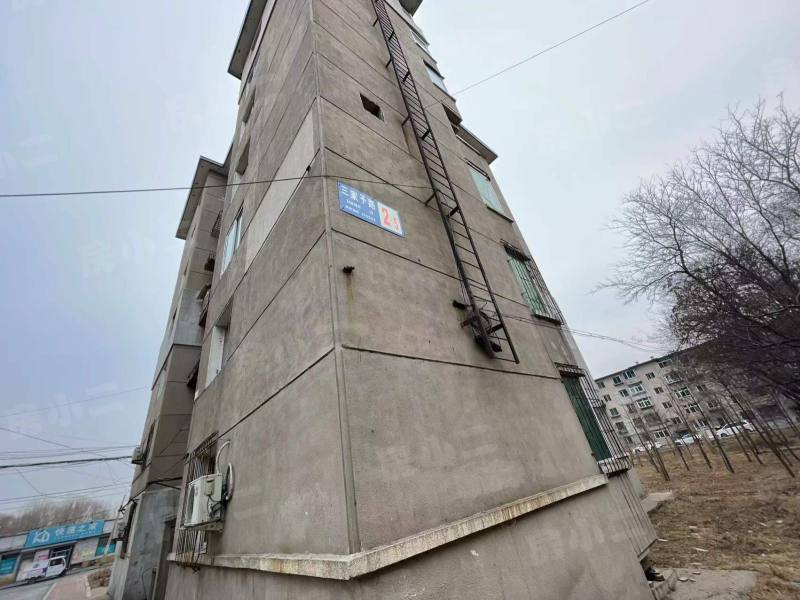 自强小区园区图片