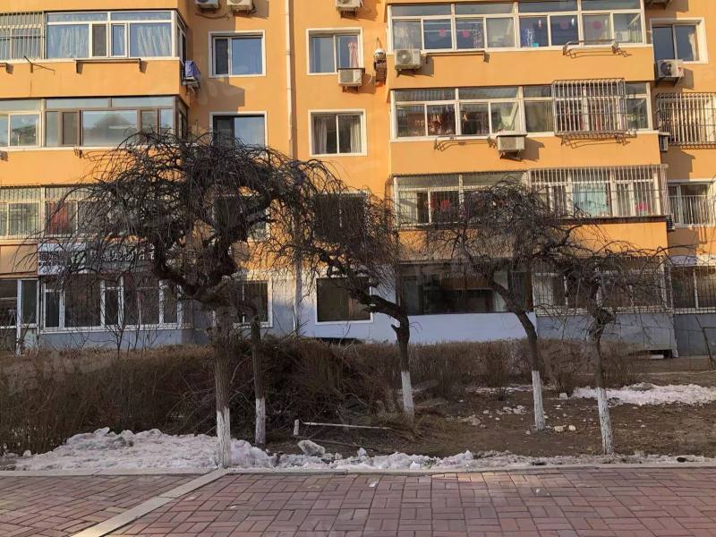 银塔馨苑园区图片