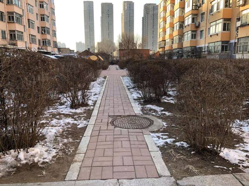 银塔馨苑园区图片