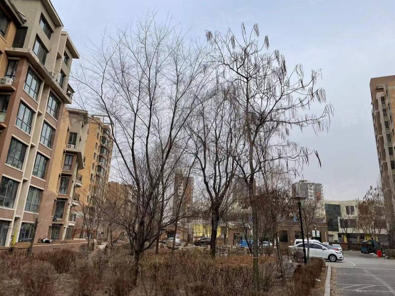 美伦湾园区图片