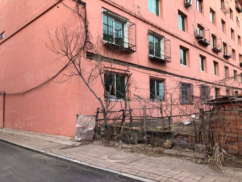 加工厂宿舍园区图片