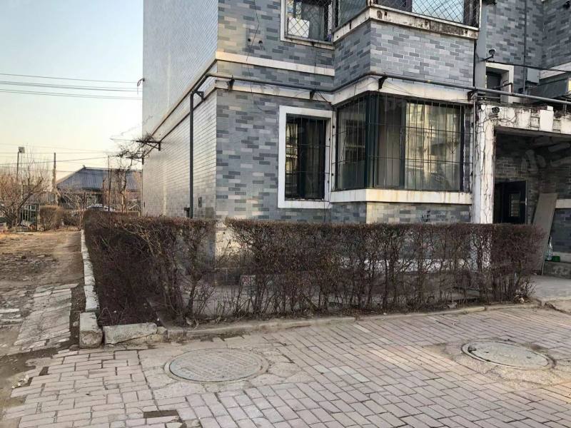 新兴绿色家园园区图片