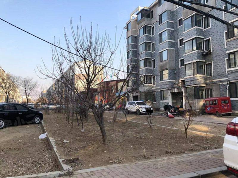 新兴绿色家园园区图片
