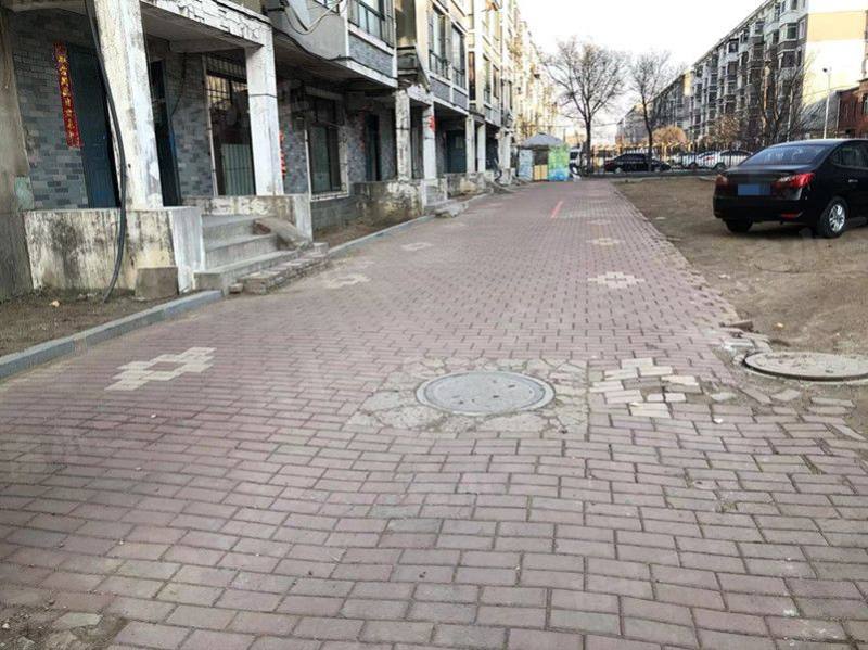 新兴绿色家园园区图片