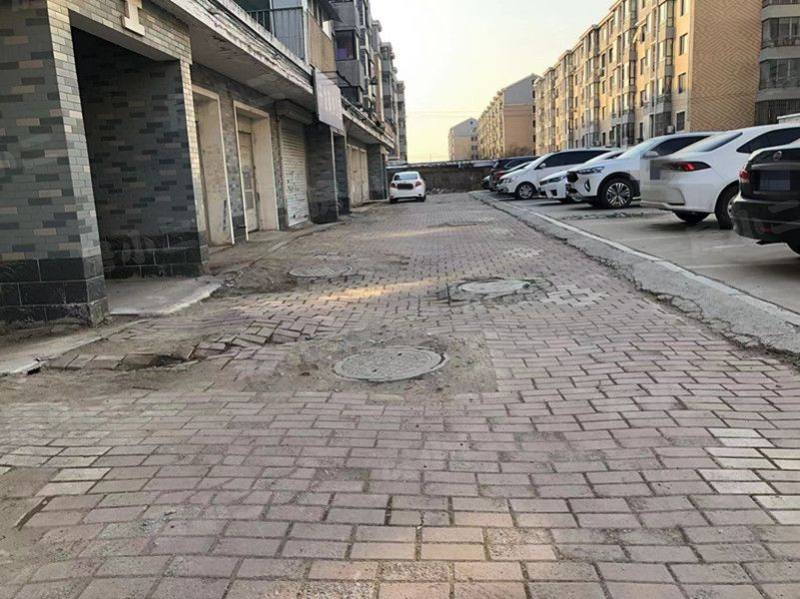 新兴绿色家园园区图片