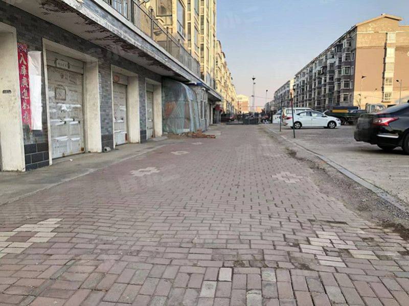 新兴绿色家园园区图片