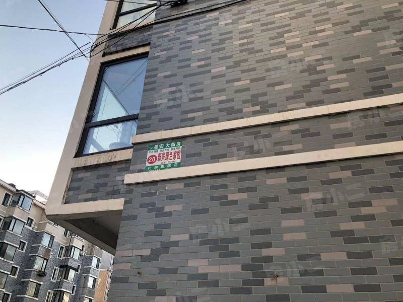 新兴绿色家园园区图片