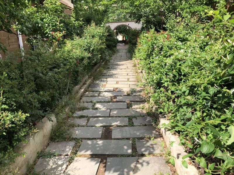 新湖北国之春南区园区图片