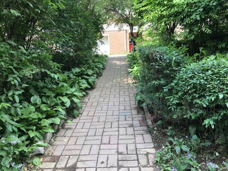 新湖北国之春南区园区图片