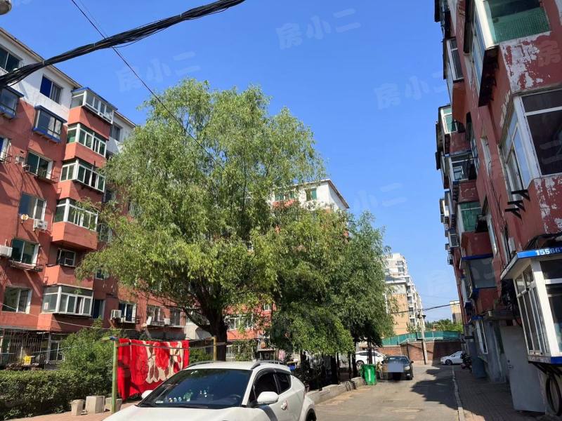 东湖小区园区图片