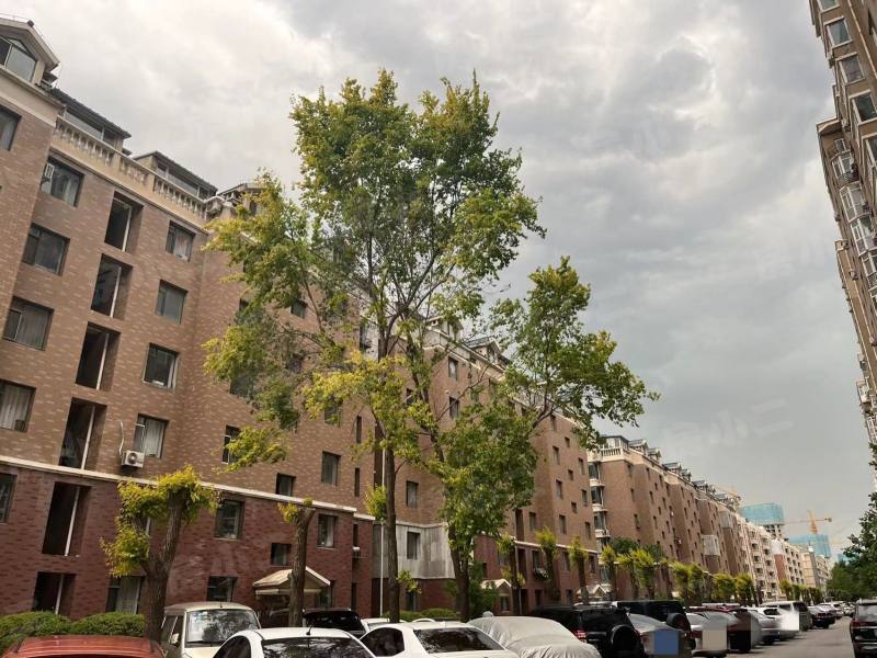 亚泰国际花园园区图片