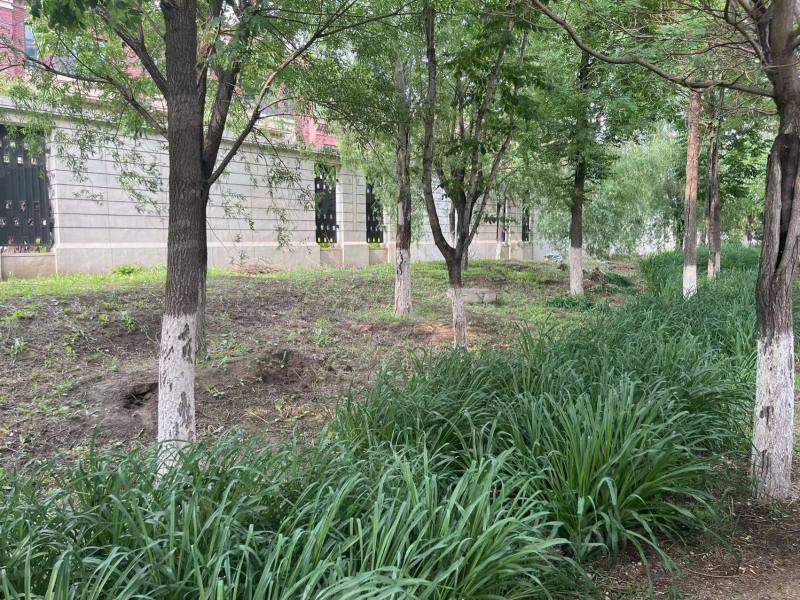 府城名著园区图片