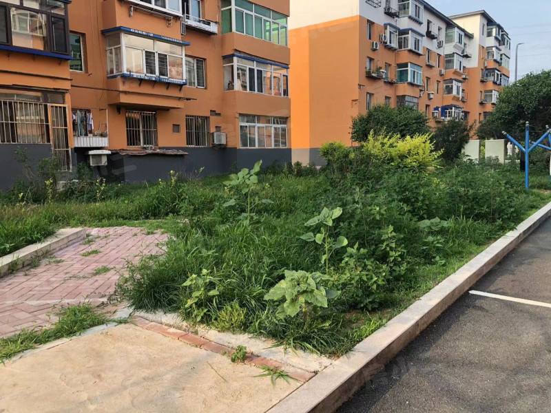 金山小区(苏家屯)园区图片