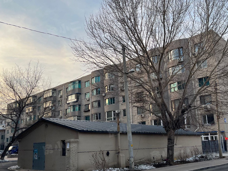 靓马鹏泰花园园区图片