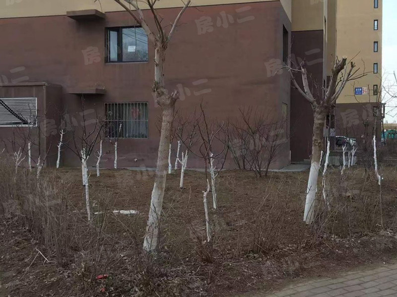 金山北苑园区图片