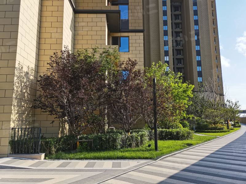 米兰颂园区图片