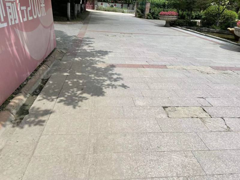 翔凤山水国际园区图片