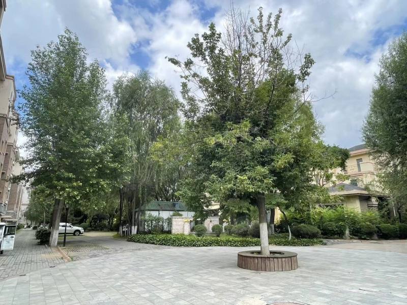 翔凤山水国际园区图片