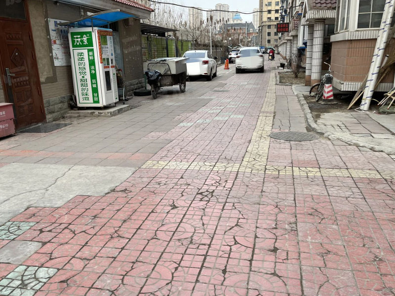 靓马庄园西区园区图片