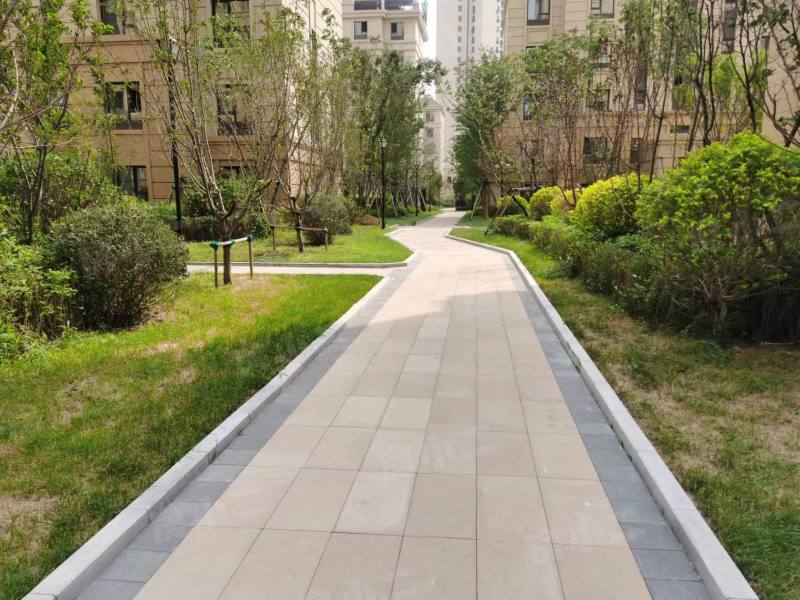 金地朗悦园区图片