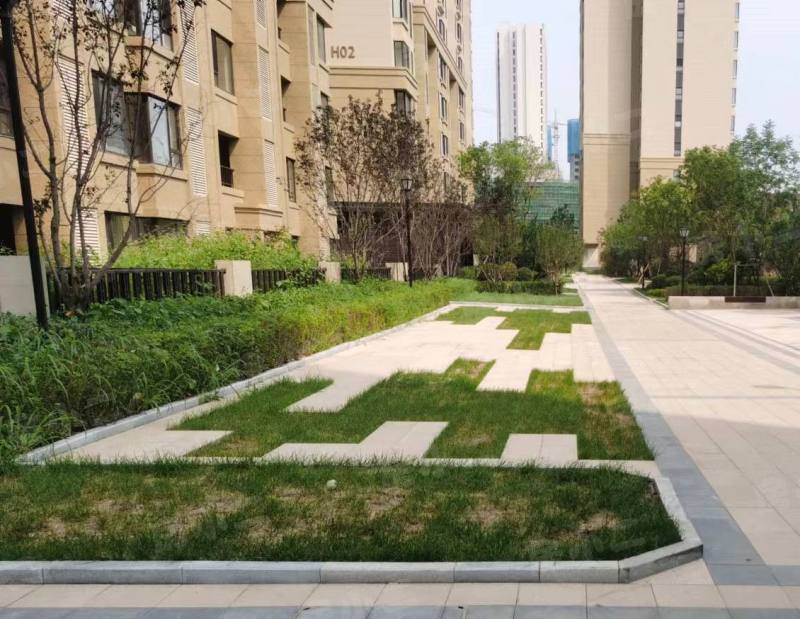 金地朗悦园区图片