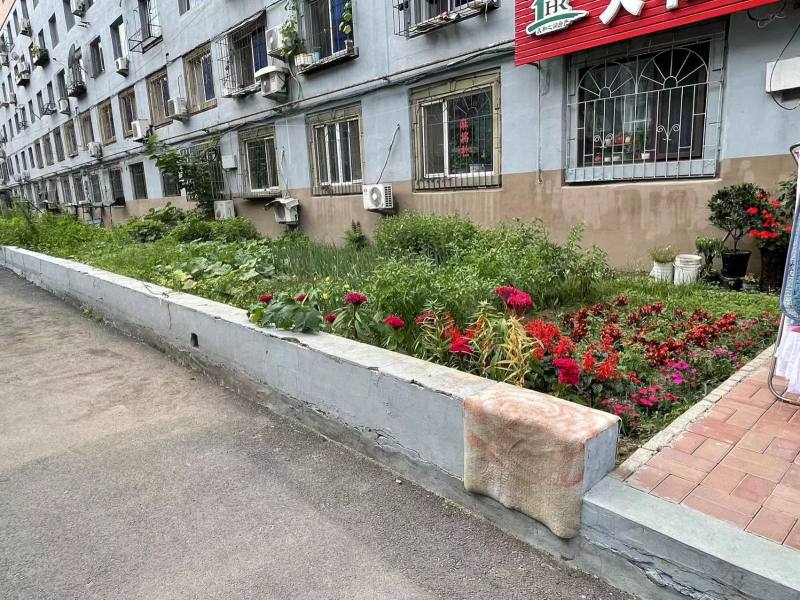 民主小区园区图片