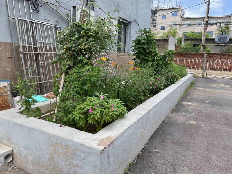 民主小区园区图片
