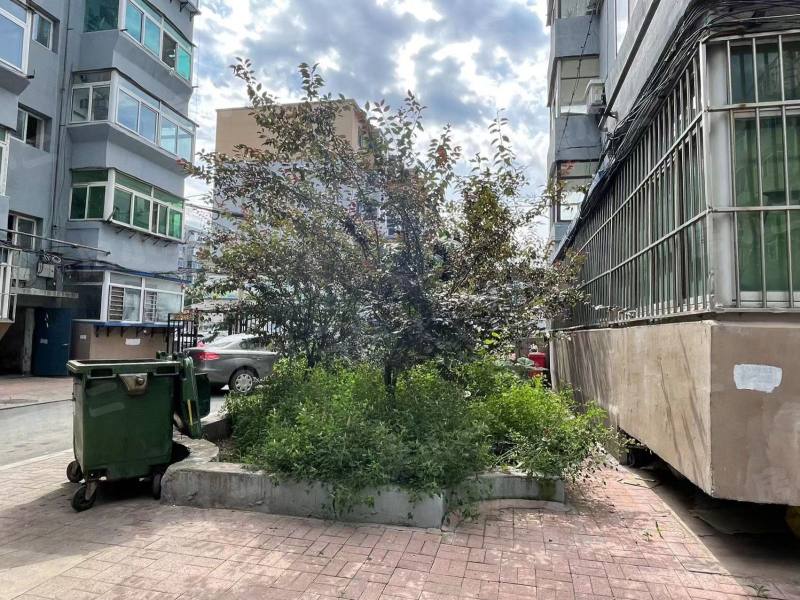 民主小区园区图片
