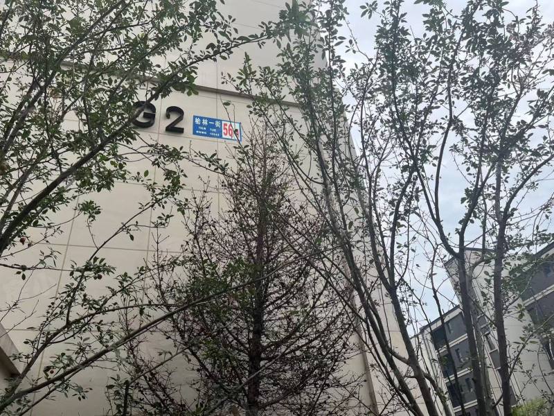 旭辉东宸府园区图片