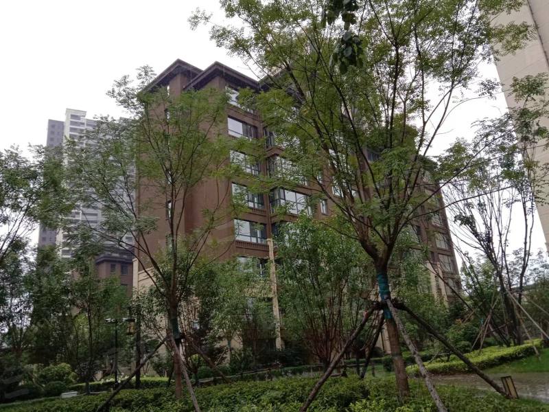 祥联大河原著园区图片
