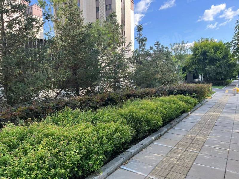 万科翡翠臻园园区图片