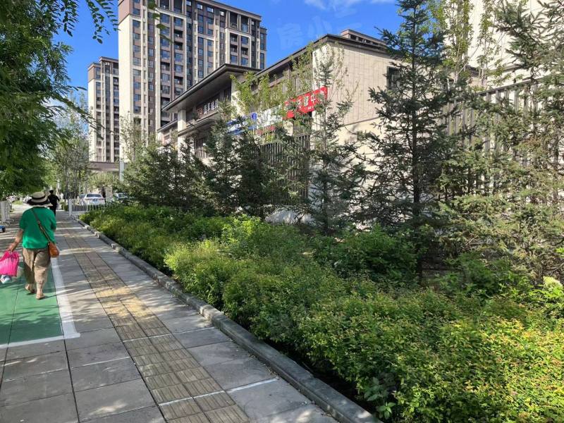 万科翡翠臻园园区图片