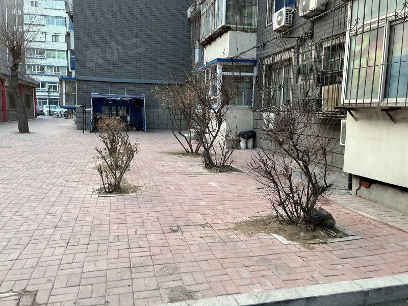 朝阳社区园区图片