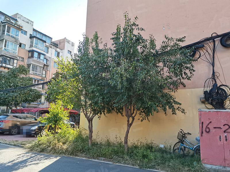 合邻家园园区图片