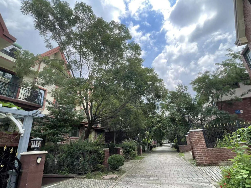 翔凤山水国际园区图片