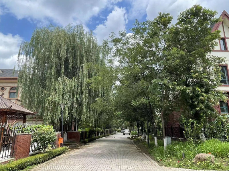 翔凤山水国际园区图片