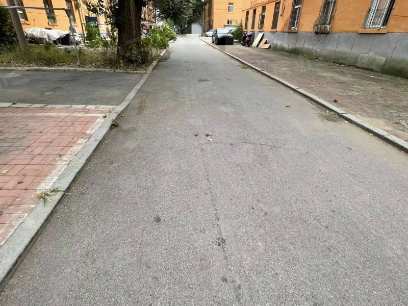 201小区园区图片