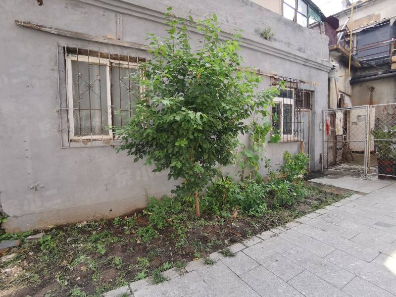 白楼小区园区图片