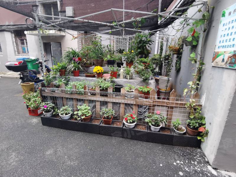 白楼小区园区图片